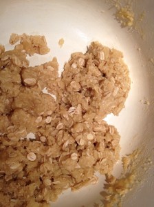 Anzac biscuit mix